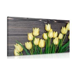 OBRAZ OČARUJÍCÍ ŽLUTÉ TULIPÁNY NA DŘEVĚNÉM PODKLADĚ - OBRAZY KVĚTŮ - OBRAZY