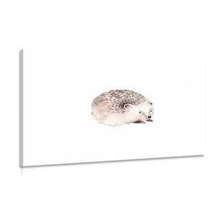 ΕΙΚΌΝΑ ΧΑΡΙΤΩΜΈΝΟ ΣΚΑΝΤΖΌΧΟΙΡΟ - ΠΊΝΑΚΕΣ ΠΑΙΔΙΚΈΣ - ΠΊΝΑΚΕΣ