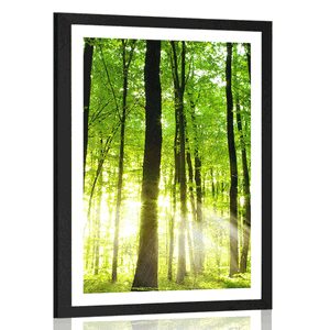 AFFICHE AVEC PASSE-PARTOUT – FORÊT VERTE FRAÎCHE - NATURE - AFFICHES