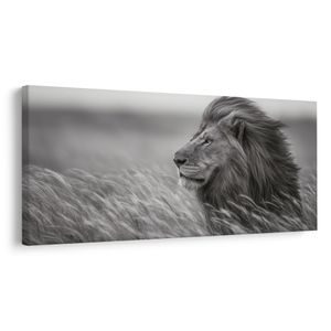 QUADRO SU TELA – MAESTOSO LEONE NELLA NATURA - QUADRI DI LEONE E TIGRE - STAMPE E QUADRI