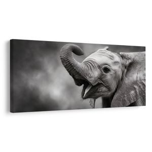 QUADRO SU TELA – MOMENTO GIOIOSO DELL'ELEFANTE - QUADRI DI ELEFANTI - STAMPE E QUADRI