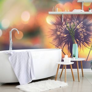 ΤΑΠΕΤΣΑΡΊΑ ΤΟΊΧΟΥ ΛΑΜΠΕΡΉ ΠΙΚΡΑΛΊΔΑ - ΤΑΠΕΤΣΑΡΊΕΣ ΛΟΥΛΟΎΔΙΑ - ΤΑΠΕΤΣΑΡΊΕΣ