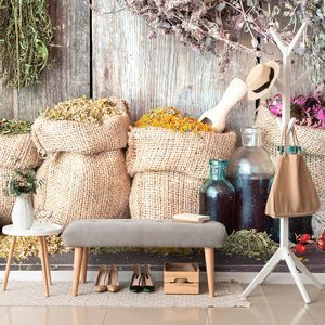 SELF ADHESIVE WALL MURAL MEDICINAL HERBS - SELF-ADHESIVE WALLPAPERS - WALLPAPERS