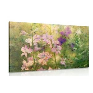 CANVAS PRINT WATERCOLOR DRAWING OF A MOUNTAIN PLANT - PICTURES FLOWERS - PICTURES