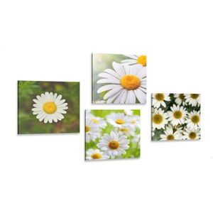 CANVAS PRINT SET MAGICAL FLOWERS - SET OF PICTURES - PICTURES