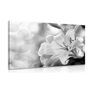 TABLOU FLORI DE CRIN PE FUNDALUL ABSTRACT ÎN DESIGN ALB-NEGRU - TABLOURI ALB-NEGRU - TABLOURI