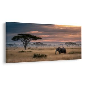 QUADRO SU TELA – ELEFANTE NELLA SAVANA AL TRAMONTO - QUADRI DI ELEFANTI - STAMPE E QUADRI
