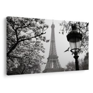 WANDBILD PARIS IM WINTERLICHEN NEBEL - BILDER VON PARIS - BILDER