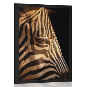 POSZTER EGY ZEBRA PORTRÉJA - ZSIRÁFOK ÉS ZEBRÁK - POSZTEREK