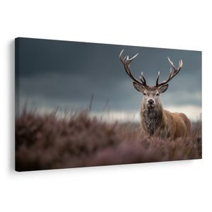 WANDBILD MAJESTÄTISCHER HIRSCH IN DER NATUR - BILDER VON HIRSCHEN - BILDER