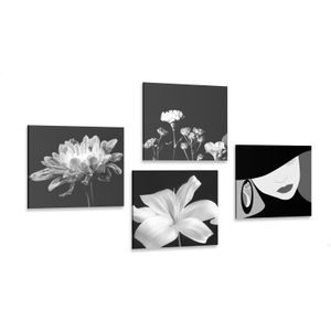 BILDER-SET ELEGANZ EINER FRAU UND BLUMEN IN SCHWARZ-WEISS - BILDERSETS - BILDER