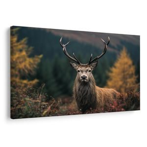 WANDBILD MAJESTÄTISCHER HIRSCH IM WALD - BILDER VON HIRSCHEN - BILDER