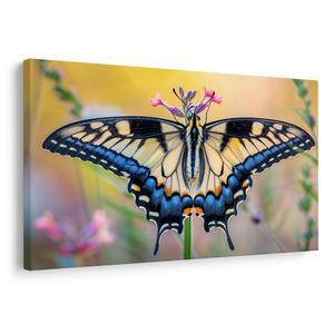 QUADRO SU TELA – FARFALLA SU FIORE ESTIVO - QADRI DI FARFALLE - STAMPE E QUADRI