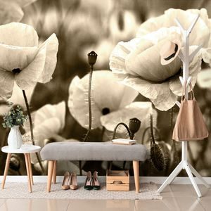 FOTÓTAPÉTA VADMÁK MEZŐ SZÉPIA KIVITELBEN - FEKETE-FEHÉR TAPÉTÁK - TAPÉTÁK