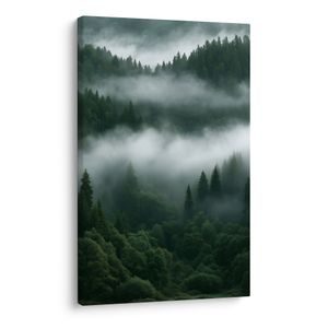WANDBILD STILLER NADELWALD IM NEBEL - BILDER WALD - BILDER