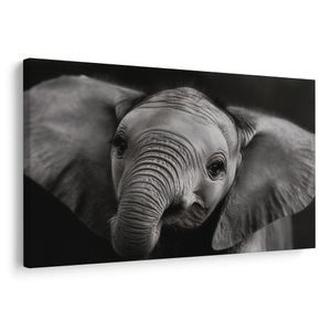 QUADRO SU TELA – CUCCIOLO DI ELEFANTE IN DETTAGLIO - QUADRI DI ELEFANTI - STAMPE E QUADRI