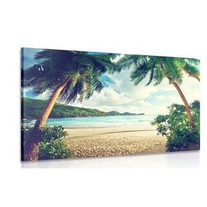 QUADRO TRAMONTO SULLE ISOLE SEYCHELLES - QUADRI DI NATURA E PAESAGGIO - QUADRI