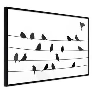 PLAKÁT PTÁCI NA DRÁTĚ - BIRDS COUNCIL MEETING - ZVÍŘATA - PLAKÁTY