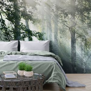 WALL MURAL SUN RAYS IN A FOGGY FOREST - WALLPAPERS NATURE - WALLPAPERS