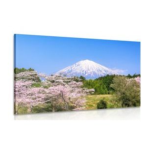 CANVAS PRINT FUJI VOLCANO - PICTURES OF NATURE AND LANDSCAPE - PICTURES