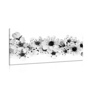 QUADRO SU TELA – FIORI DI CILIEGIO IN BIANCO E NERO - QUADRI BIANCO E NERO - STAMPE E QUADRI
