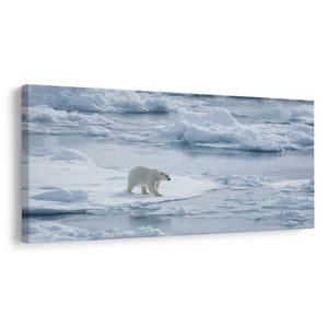 OBRAZ POLÁRNÍ MEDVĚD NA LEDOVÉ KŘE - VÁNOČNÍ A ZIMNÍ OBRAZY - PICTURES