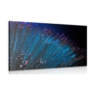 CANVAS PRINT FIBER OPTICS - STILL LIFE PICTURES - PICTURES