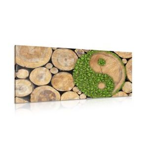CANVAS PRINT YIN AND YANG IN ECO DESIGN - PICTURES FENG SHUI - PICTURES