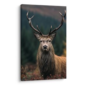 WANDBILD HIRSCH IN HERBSTLICHER NATUR - BILDER VON HIRSCHEN - BILDER
