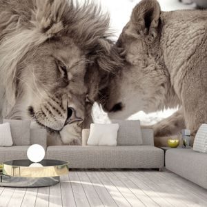 Öntapadó tapéta oroszlán szerelem - Lion Tenderness
