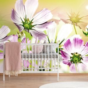 WALLPAPER GARDEN FLOWERS - WALLPAPERS FLOWERS - WALLPAPERS