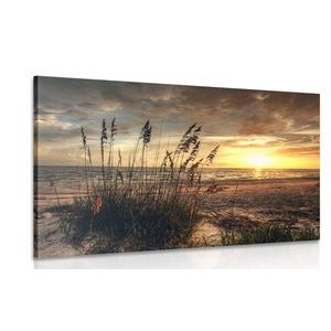 Canvas print sunset on a beach