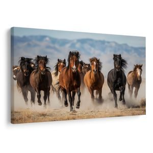 WANDBILD WILDE PFERDE GALOPPIEREN DURCH DIE LANDSCHAFT - BILDER VON PFERDEN - BILDER