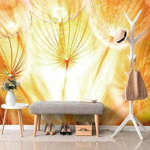 PAPIER PEINT AUTOCOLLANT – PISSENLIT EXTRAORDINAIRE - PAPIER PEINT AUTOCOLLANT - PAPIERS PEINTS PANORAMIQUES