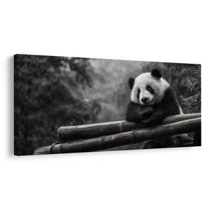 QUADRO SU TELA – PANDA TRANQUILLA NELLA NATURA - QUADRI DI ANIMALI - STAMPE E QUADRI