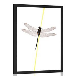 POSTER MAGIC OF A DRAGONFLY - MOTIFS FROM OUR WORKSHOP - POSTERS