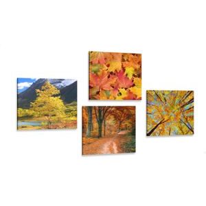 SET DI QUADRI NATURA AUTUNNALE NEI SUOI BELLISSIMI COLORI - COLLEZIONI DI QUADRI - QUADRI