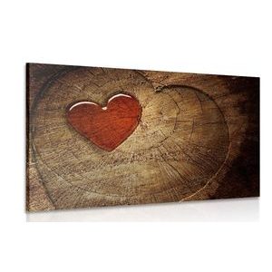 QUADRO DI UN CUORE SU UN CEPPO - QUADRI DI NATURA E PAESAGGIO - QUADRI