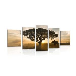 5-PIECE CANVAS PRINT ELEPHANT AT SUNRISE - PICTURES OF NATURE AND LANDSCAPE - PICTURES
