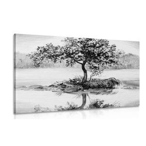 CANVAS PRINT ORIENTAL CHERRY IN BLACK AND WHITE - BLACK AND WHITE PICTURES - PICTURES