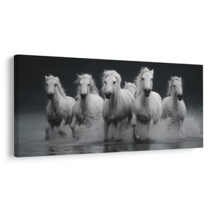 OBRAZ DIVOKÁ JAZDA BIELYCH KONÍ - OBRAZY KONE - OBRAZY