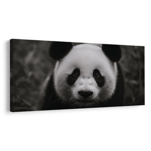 QUADRO SU TELA – PANDA BIANCO E NERO SORRIDENTE - QUADRI DI ANIMALI - STAMPE E QUADRI