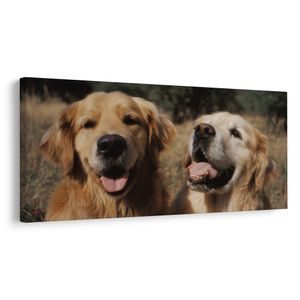 CANVAS SCHILDERIJ GOUDEN GLANS IN HONDENBONT - SCHILDERIJEN HONDEN - SCHILDERIJEN