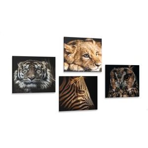 CANVAS PRINT SET WILD ANIMALS - SET OF PICTURES - PICTURES