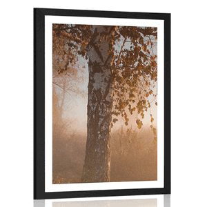 Plakat s paspartujem megleni jesenski gozd