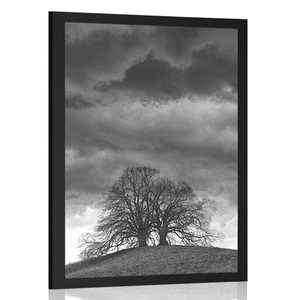Plakat črnobela samotna drevesa