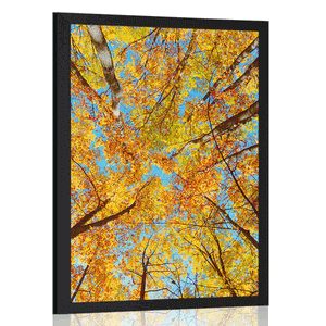 POSTER HERBSTLICHE BAUMKRONEN - NATUR - POSTER