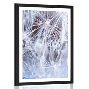 POSTER WITH MOUNT MACRO DANDELION - FLOWERS - POSTERS