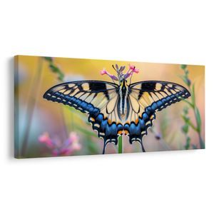 QUADRO SU TELA – FARFALLA VARIOPINTA NELLA NATURA - QADRI DI FARFALLE - STAMPE E QUADRI