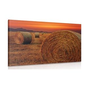 CANVAS PRINT HAY BALES - PICTURES OF NATURE AND LANDSCAPE - PICTURES